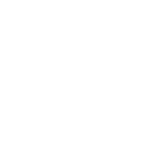 株式会社Revreel